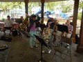 Band picnic March 26 2015 (9)